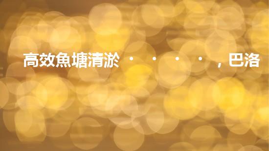 高效魚塘清淤，巴洛仕設(shè)備助力生態(tài)養(yǎng)殖